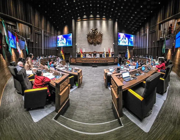 C&aacute;mara de Senadores