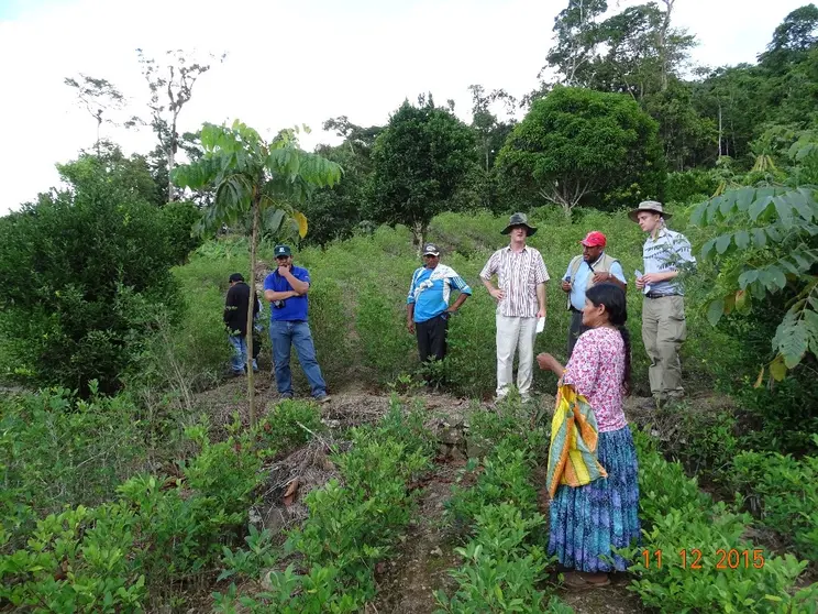 Producci&oacute;n Los Yungas.