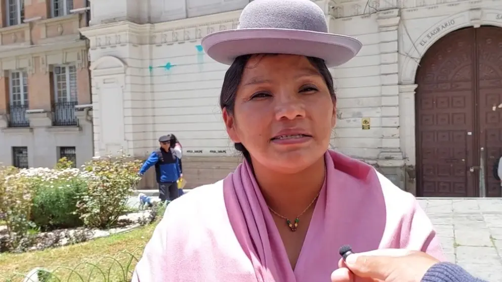 Ana Crisp&iacute;n, senadora del PDC.
