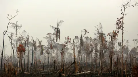 INCENDIO APA