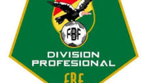 div pro