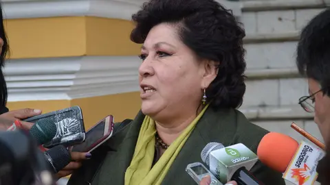 BRITO camara de diputados