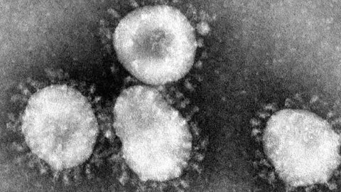 coronavirus_0_0