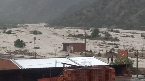 el potos&iacute;