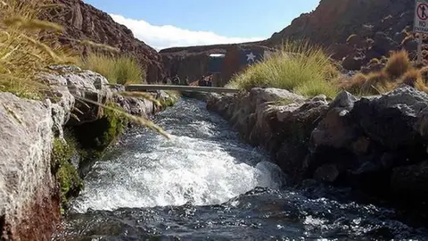 silala el potos&iacute;