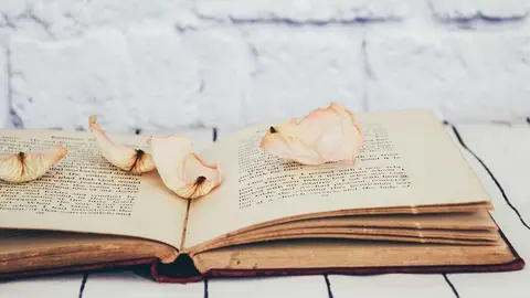 D&iacute;a del Libro y cuarentena: 5 libros de novela rom&aacute;ntica