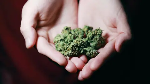OJO con la marihuana y el coronavirus