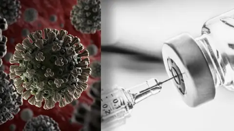 Vacuna Coronavirus
