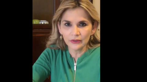 Presidenta A&ntilde;ez da positivo al Coronavirus Foto: Captura Video de su cuenta en twitter.