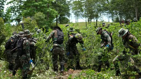 Militares durante tareas de erradicaci&oacute;n de plantas de coca en la zona de Chimor&eacute;, en el Chapare. Foto: Reuters/David Mercado