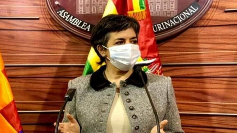Cecilia Requena, senadora de Comunidad Ciudadana. (Foto: El Deber).