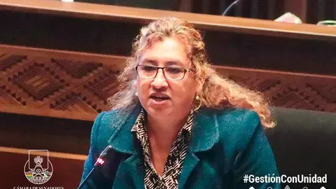 Galdis Alarcon (Foto: Camara de Senadores)
