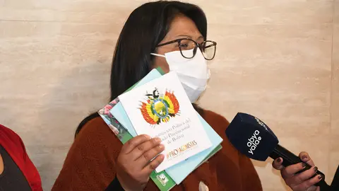 (Foto: Camara de Diputados)