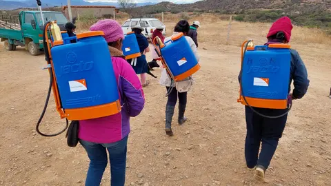 Campa&ntilde;a de Fitosanidad en Tarija Foto: Visi&oacute;n Mundial Bolivia