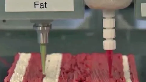 Carne impresa, imagen referencial. (Foto: The Times of Israel).