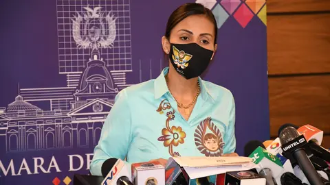 Mar&iacute;a Rene &Aacute;lvarez, diputada de Creemos. (Foto. CD).