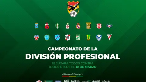 Divisi&oacute;n profesional. (Foto: FBF).