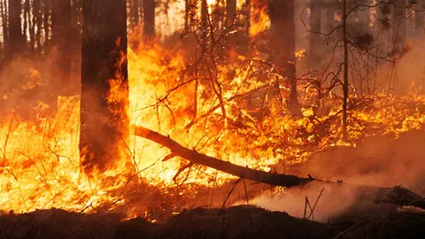 Quemas. (Foto: Nuestroclima).