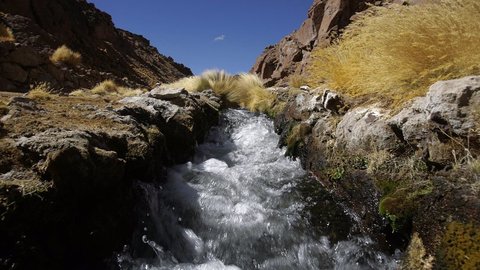 Aguas del Silala. (Foto. Notimérica).