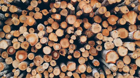 Troncos de madera. (Foto: Pixabay).