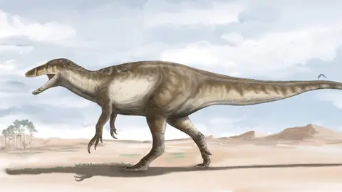 Megarraptor. (Foto: Europa Press).