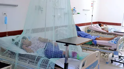 Epidemia de dengue en SC. (Foto: Jornada).