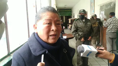 Gladys Bacarreza, jueza del Juzgado de Sentencia Primero Contra la Violencia pace&ntilde;a. (Foto: &Eacute;xito Noticias).