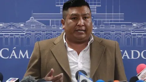 Froil&aacute;n Mamani, diputado masista. (Foto: C&aacute;mara de Diputados).