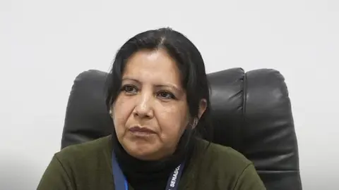 Ana Mar&iacute;a Castillo, senadora del MAS. (Foto: C&aacute;mara de Senadores).