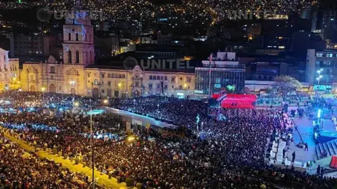 Verbena pace&ntilde;a. (Foto: Unitel).