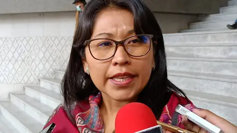 Gladys Quispe, diputada masista. (Foto: La Patria).