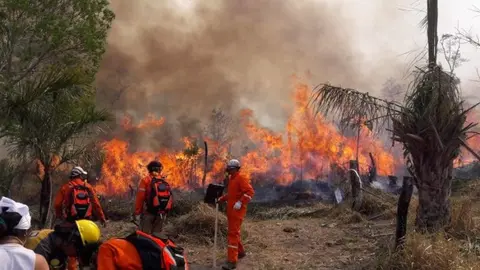 Incendios en el pa&iacute;s. (Foto: Mongabay Latam).