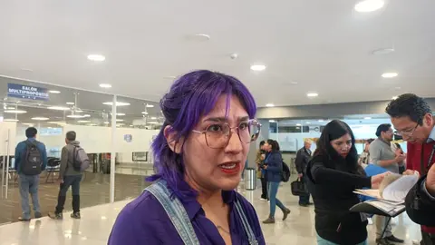 Alejandra Camargo, diputada de CC. (Foto: La Patria).