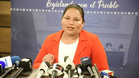 Deisy Choque, diputada masista. (Foto: La Raz&oacute;n).
