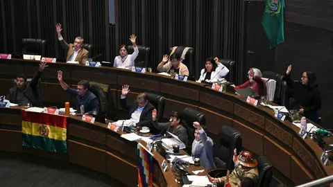 C&aacute;mara de Senadores. (Foto: La Raz&oacute;n).