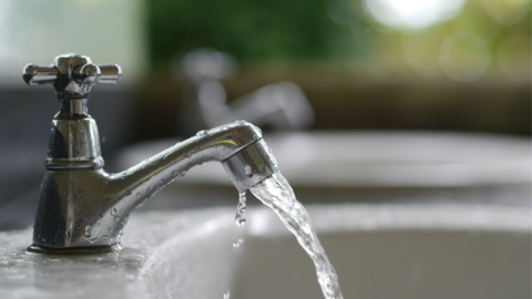 Grifo de agua. (Foto: Canva).