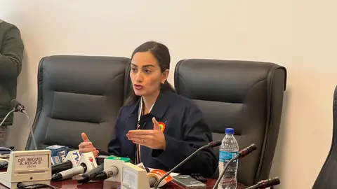 Luisa Nayar, diputada de Comunidad Ciudadana. (Foto: El Diario).