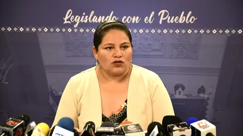 Deisy Choque, diputada del MAS. (Foto: CD).