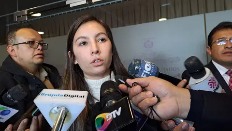 Mayra Zalles, diputada de Comunidad Ciudadana. (Foto. DTV).