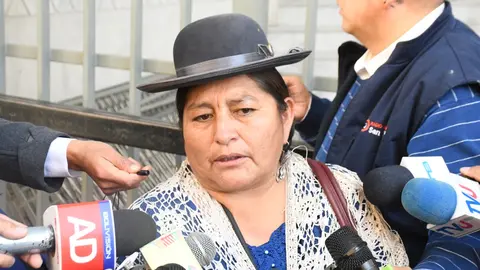 Gloria Callisaya, diputada del MAS. (Foto: CD).