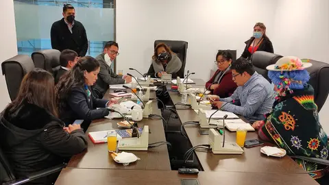Comisi&oacute;n de Derechos Humanos, Diputados. (Foto: CD).