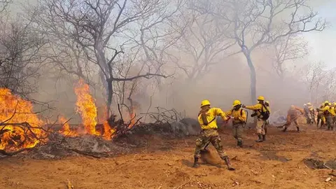 Incendios forestales. (Foto: El D&iacute;a).