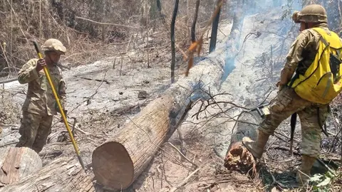 Incendio Madidi. (Foto: AEP).