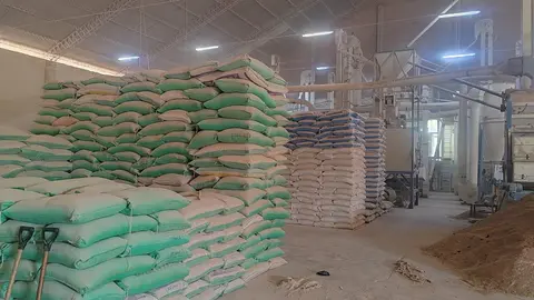 Arroz. (Foto. La Raz&oacute;n).