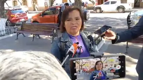 Lily Fern&aacute;ndez, diputada por Chuquisaca. (Foto: Noticias Violeta)