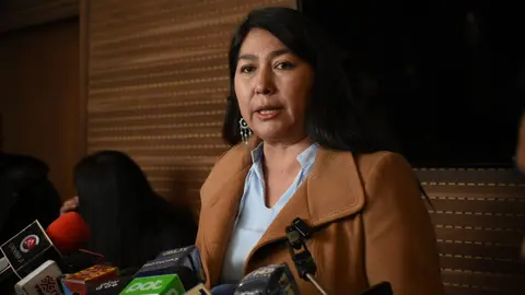 Rosario Garc&iacute;a, diputada MAS (FOTO. ABI)