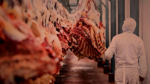 Frial, carne. (Foto. Fundaci&oacute;n Sol&oacute;n).