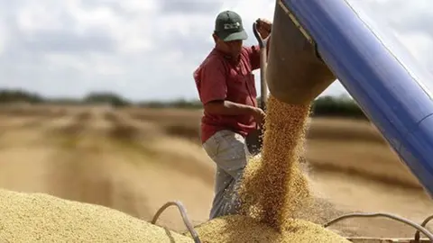 Producci&oacute;n de soya. (Foto: AEP).