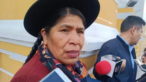 Toribia Lero Quispe, diputada. (Foto. La Patria).