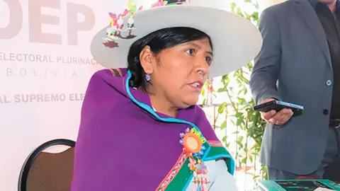 Nelly Arista, vocal TSE. (Foto: AEP).
